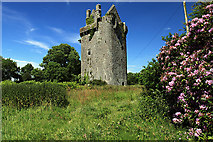 R4601 : Castles of Munster: Lohort, Cork (1) by Mike Searle