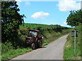 Hedge trimming