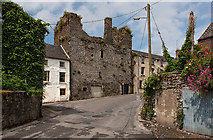 S2034 : Castles of Munster: Court Castle - Fethard, Tipperary by Mike Searle