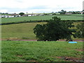 Fields and railway line, near Copplestone