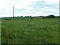 Fields near Copplestone