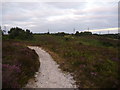SZ0395 : Canford Heath: path on southern edge by Chris Downer
