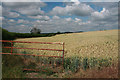 Farmland near Hawkedon