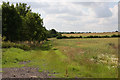 TL7050 : Farm track at Sowley Green by Bob Jones