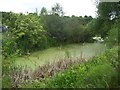 Barnsley Canal