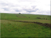 NY7466 : Fields just west of Once Brewed by John Firth