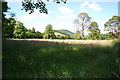 Looking north from edge of Dumcrieff Wood  - Southern Upland Way