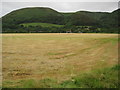 Recently mown silage field, Bossington