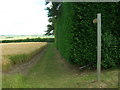 Bridleway, North East of Tibthorpe Lodge Farm