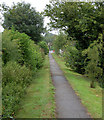 Footpath along The Moor, west of Willoughby