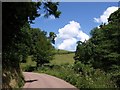 Lane up Town Leat valley