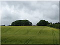 Farmland at Newhouses