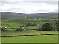 Pastures below Low Crooked Well (2)