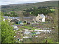 Allotments in Westgate