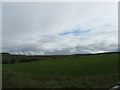 Grazing land at Effledge