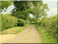 2009 : Cromhall Lane near Easton Piercy