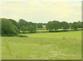 2009 : Pasture land off Grove Lane