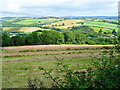 South Herefordshire farmland 3