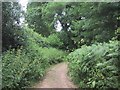 Permissive cycleway to Dalditch Lane