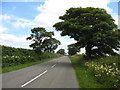 Stretch of road from the hamlet of Llangwyllog towards the B5111