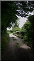 Looking south on Buddington Lane near Easebourne