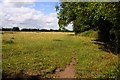 Footpath along the hedgerow at Sutton Courtenay