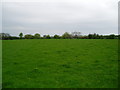 Footpath from Bite Farm