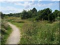 Footpath near Long Lane