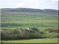 Rough pastures around Gibbs Hill