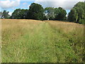 Footpath to Shipbourne Common