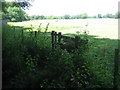 Footpath junction near Grenadier Cottages