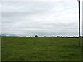 Pasture land at Cwyrt Farm