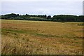 Arable field near Rye Farm