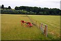 Agricultural machine in a field