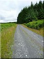 Forest track north of Corrafeckloch