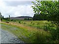 Looking up to Corrafeckloch Hill