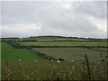 SH2987 : Farmland on the landward side of the Porth-yr Afon lane by Eric Jones