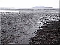 L7476 : Stream across Carrownisky Strand by Oliver Dixon