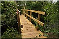 Footbridge over the Swift Ditch