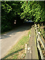 Raised footpath beside Mill Lane