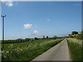 Cow Parsley fringed road north of Pont Pensarn