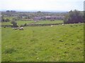 Overlooking Longridge End