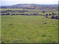 Hillside meadow at Longridge