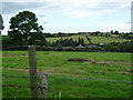 Field, Jubilee Road, Dromore