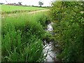 The Trout Beck near Corby Hill