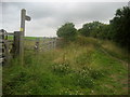 SE3443 : Leeds Country Way on Rigton Mor by Chris Heaton