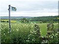 Footpath from Whitley Lane