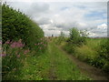 Track at Wayside Gardens