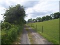 Bridleway at Rainstorth