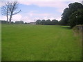 Field near Bracken Park